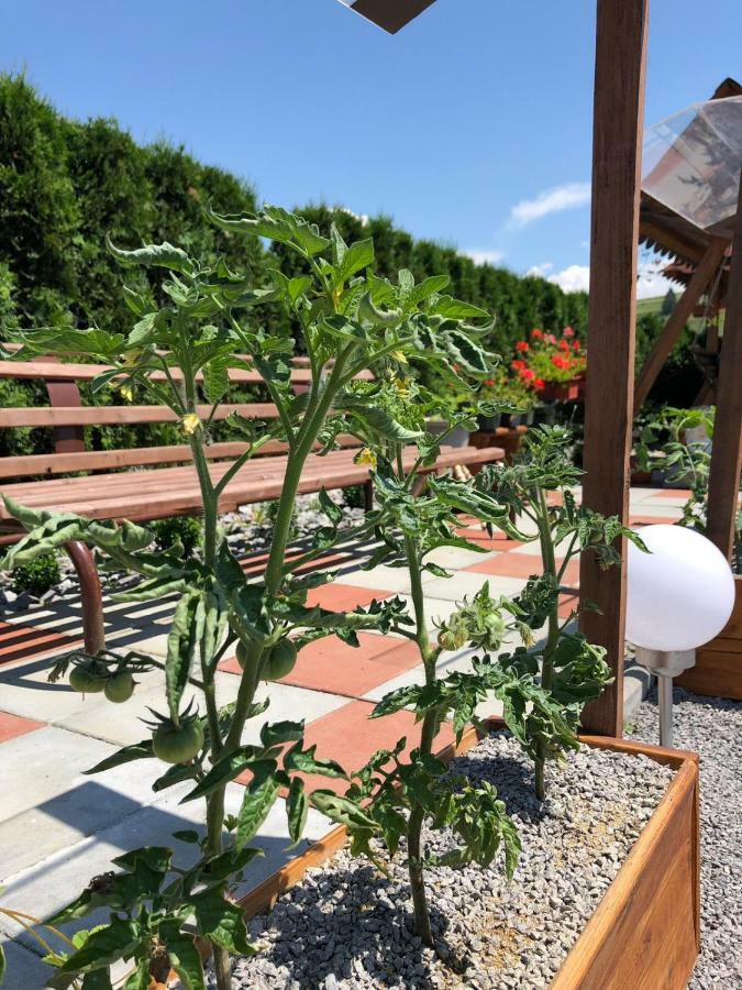 Casa Iuliana Hotel Gyergyóvárhegy Kültér fotó